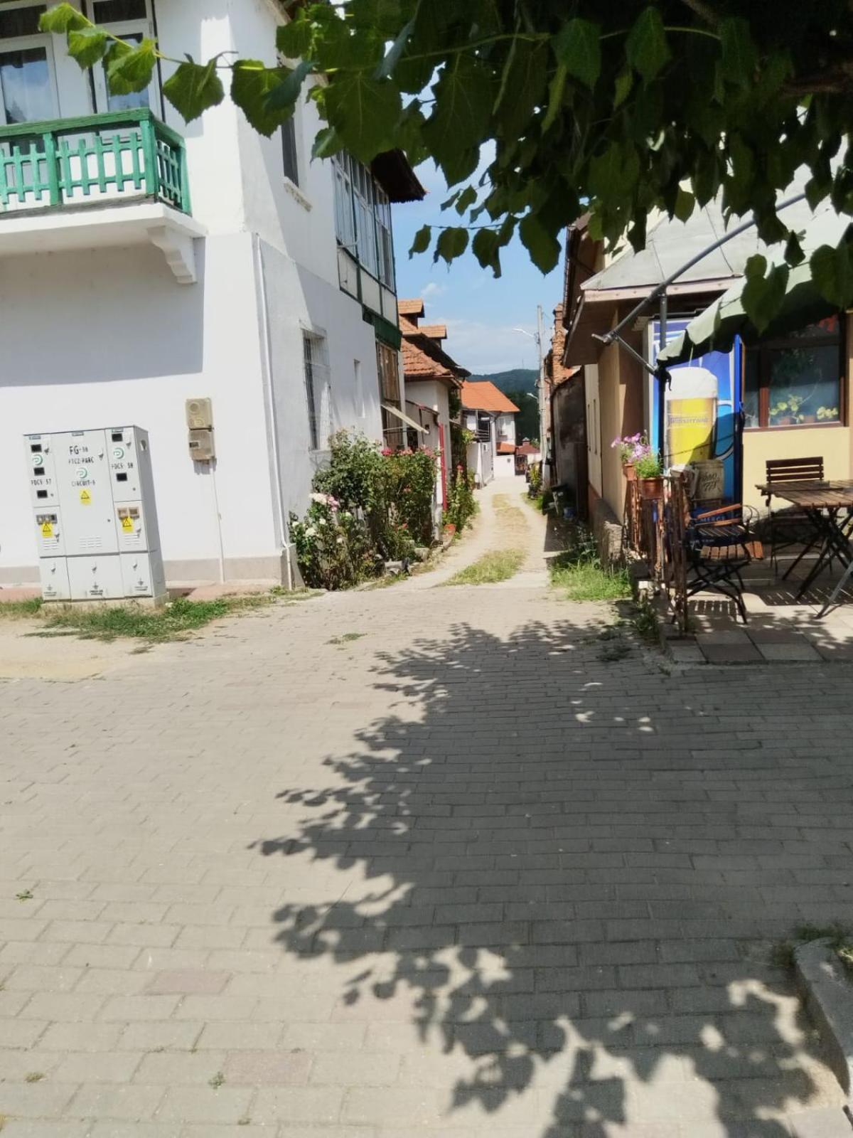Urbanist Guest House Călimăneşti Esterno foto